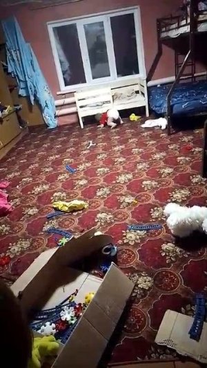1000120841.mp4