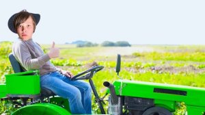 Miss Katy|Мисс Кэти Следим за Максом ⧸ Таки подстригся