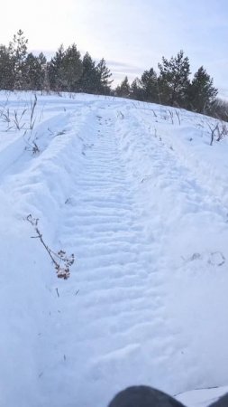 Покатались на снегоходах!