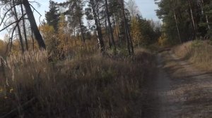 2020окт11-1 осень сормовских болот 1