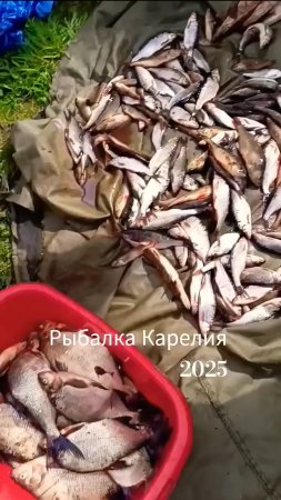 Итого🤣😍