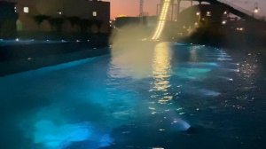 Морская царевна
Сочи 
Водный аттракцион