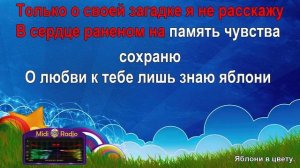 Яблони в цвету (караоке)