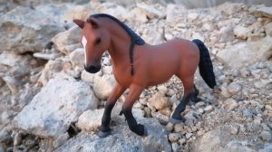 Новости + о канале Лолика +🐎