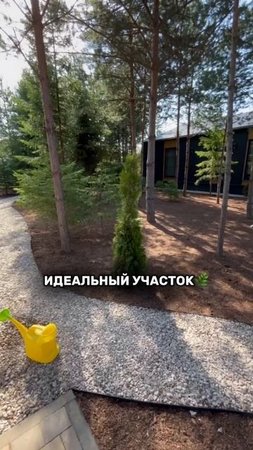 Благоустройство участка