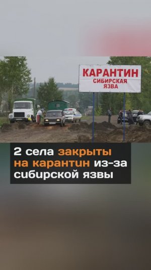 Два села закрыты на карантин из-за сибирской язвы