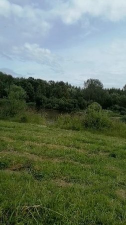 Поле, русское поле