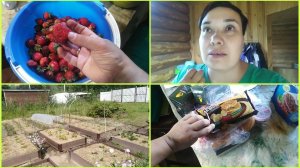 Меняем все окна, ЗАБОЛЕЛА, Обзор продуктов, Собрала разные ягоды, Что нового на участке? 27/2025