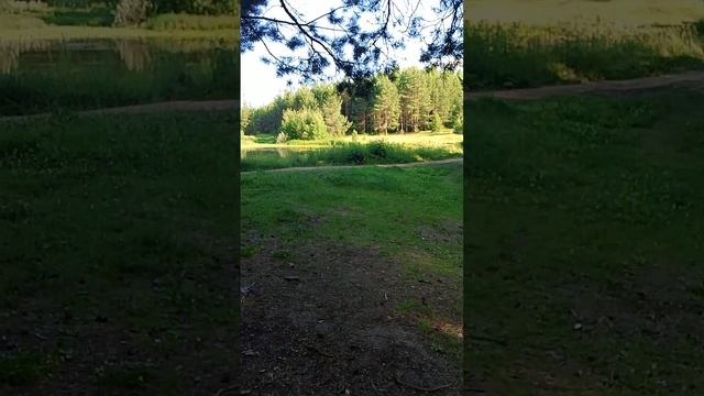 Прогулка по нашей набережной