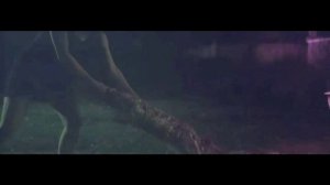 Лера Эр-Футболка