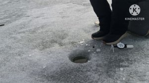 Рыбалка на подлещика и сторожку!!Рыбы полно!!Бегаем по лункам!!