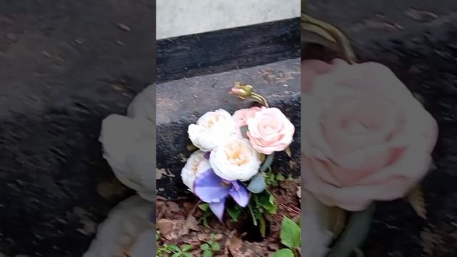 08.07.25. ... за памятниками и оградами на погосте увидели  тёмного кота, который гулял сам по себе