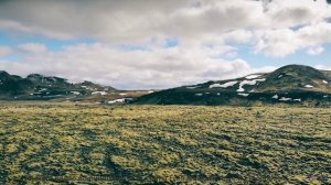 Забудь привычные мелодии -  этот трек открывает новые горизонты - Sunday Morning -- Podington Bear -