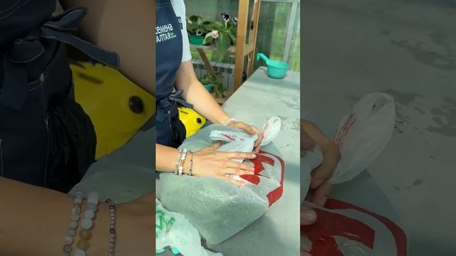 КАК ДОЛГО СОХРАНИТЬ ЗЕЛЕНЬ