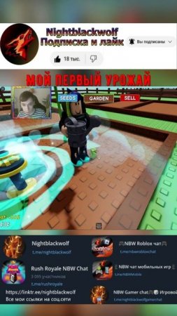 Roblox! Grow a Garden! [🌻] Вырасти сад 🐝! Первый урожай! #shorts #роблокс
