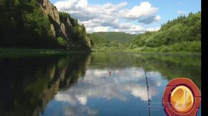 Ловлю рыбу. Как правильно подсекать