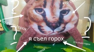 шлёпа съел мой горох часть 2