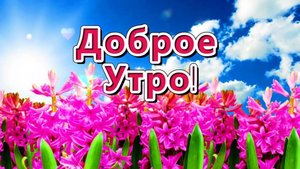 ДОБРОЕ УТРО!💖 ПРЕКРАСНОЙ СУББОТЫ!💖 ОТЛИЧНОГО ОТДЫХА!💖 ХОРОШЕГО НАСТРОЕНИЯ!💖
