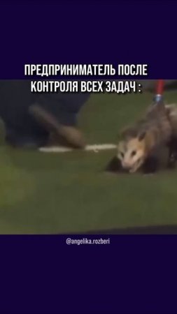 Предприниматель умеет всё. Только потом вдруг ловит выгорание...