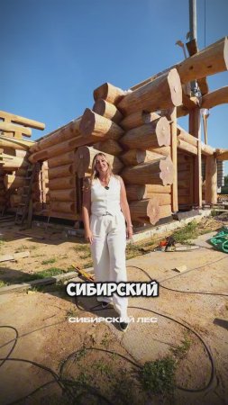 Дом "Великан" из лиственницы