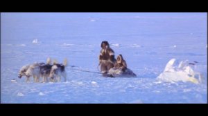 #48 Быстрый бегун