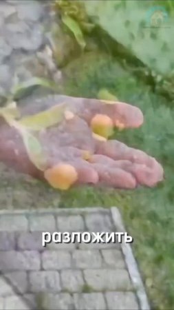 Советы в комментариях👇🏻