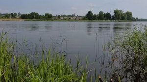 Озеро в Пестяках мелкое и чистое - доказательства