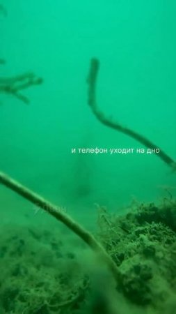 Девушка на сапе уронила телефон в воду