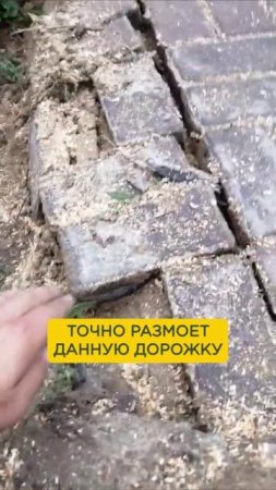 Самая ДОРОГАЯ ОШИБКА при укладке тротуарной плитки! #строительство #загородныйдом #тротуарнаяплитка