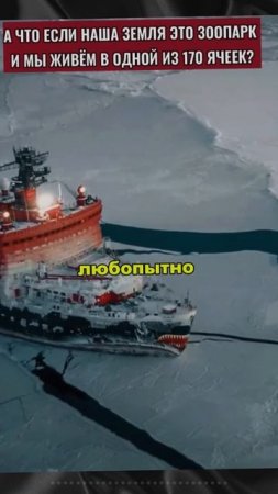 А что если мы живем в одной из ячеек?
