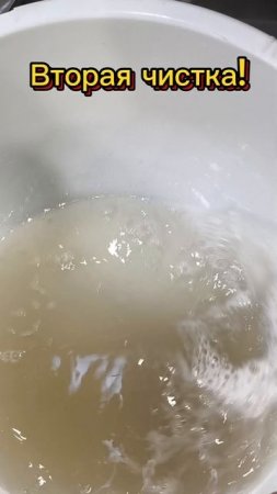 А ваше кресло чистое? Больше про биочистку — masterbiochistki.ru