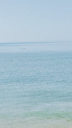 Дельфины в ЧИСТЕЙШЕМ Море Станица Благовещенская Район Анапы 9 июля 2025 г