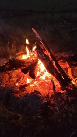 Звук костра на природе #природа #лес #лето #Красиво