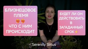 БЛИЗНЕЦОВОЕ ПЛЕМЯ❤🔥ЧТО С НИМ ПРОИСХОДИТ⚡ПОЧЕМУ ОН БЕЗДЕЙСТВУЕТ❣️таро расклад