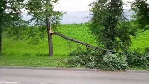 ЭКСТРЕННЫЙ ВЫПУСК