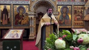 «Бабы стали дохлые, трусливые, развратные и не хотят рожать»