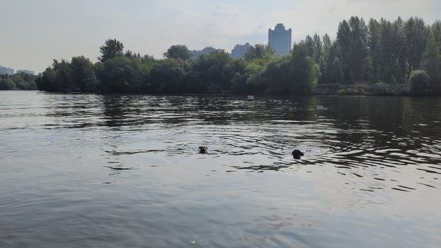 открыт сезон