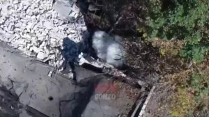 Десантники вскрывают укрепы ВСУ на Запорожье