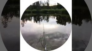 конфуз.mp4