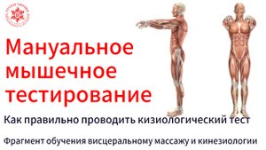 Мануальное мышечное тестирование. Как правильно проводить кизиологический тест. Фрагмент обучения