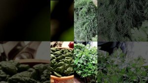 Продукты полезные в жару