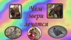 Чем звери лечатся