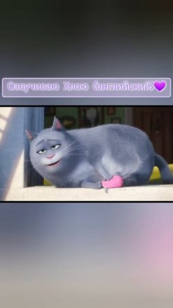 Тайная жизнь домашних животных. Озвучиваю Хлою (английский). Хмелевская Лариса