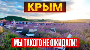 Мы не верили своим глазам: Крым удивил фиолетовыми полями!
