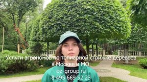 Услуги топиарной и фигурной стрижки деревьев на дачных участках Москвы и МО. Тел 8 495 669 52 23