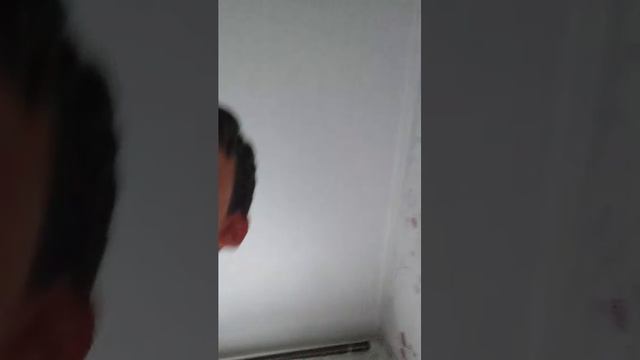 общение