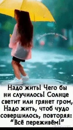 ДОБРОГО ВАМ ДНЯ.  Shorts.