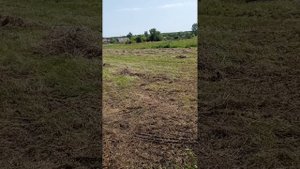 убираем сено