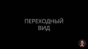 Переходный вид