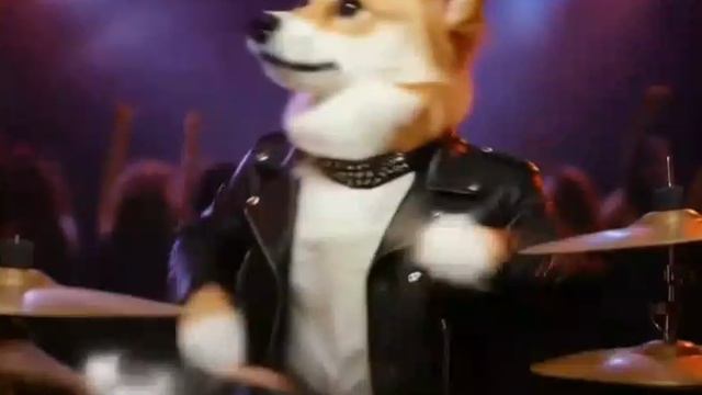 Собачки музыканты  Создано с помощью редактора ИИ  Ролики и видео для детей  Подпишись